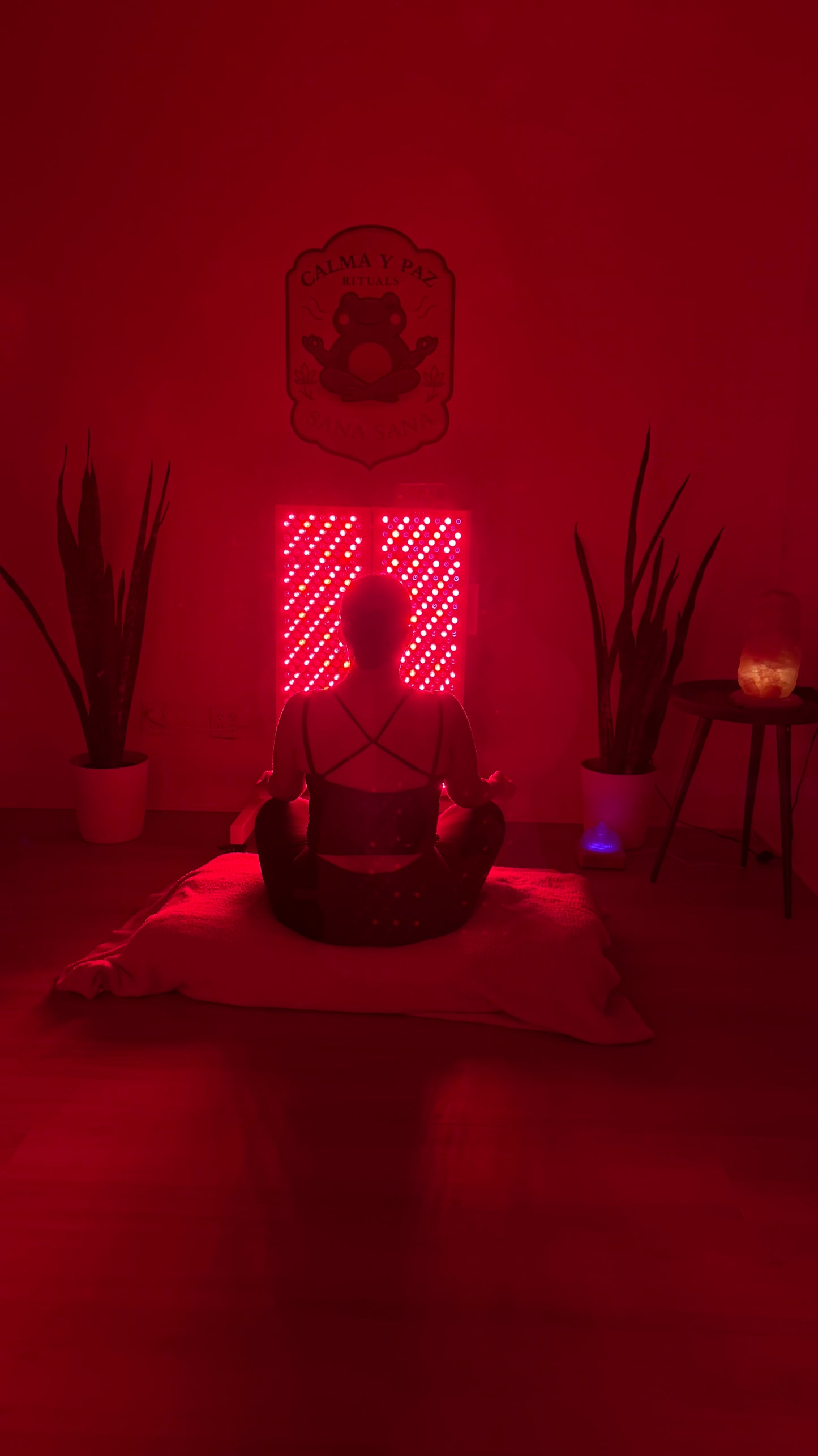 The Reset Session: Guided Meditation - Private Experience